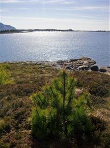 Alesund Airport Hotel Ytterland, Valderoy