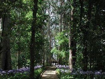 Quinta Jardim Da Serra Hotel Camara de Lobos Sitio Da Fonte Frade-Jardim Da Serra