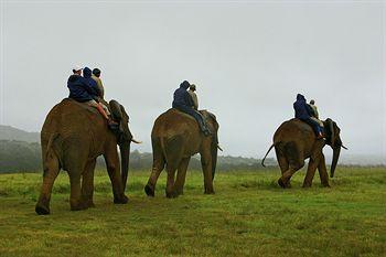 Hitgeheim Country Lodge & Eco Reserve Addo Off R336 Outside The Park