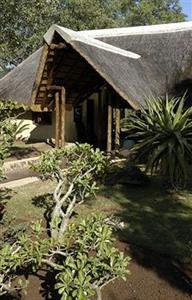 Jackalberry Lodge Hoedspruit Thornybush Game Reserve