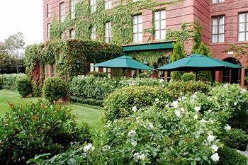 The Grace in Rosebank Hotel Johannesburg 54 Bath Avenue Rosebank