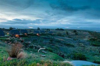 Gondwana Game Reserve Hotel Mossel Bay Heuningklip Farm