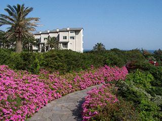 Shineville Luxury Resort Seogwipo 16 Tosan-Ri