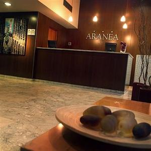 Hotel Aranea Barcelona Consell de Cent, 444