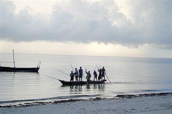 Twisted Palms Lodge & Restaurant Zanzibar Bwejuu Beach