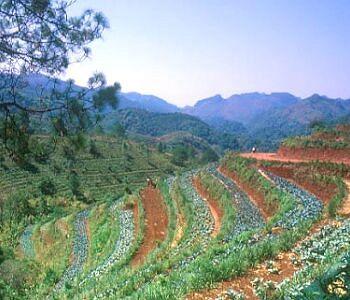 Angkhang Nature Resort Doi Angkhang 1/1 Moo 5 Baan Koom, Mae Ngon