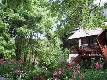 Angkhang Nature Resort Doi Angkhang 1/1 Moo 5 Baan Koom, Mae Ngon