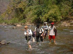 Fern Resort Mae Hong Son 64 Moo 10 Ban Hua Nam Mae Sakut Tambon Pha Bong Amphur Muang