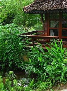 Fern Resort Mae Hong Son 64 Moo 10 Ban Hua Nam Mae Sakut Tambon Pha Bong Amphur Muang