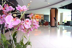 Tim Boutique Hotel Pattaya 397/42 Moo 10 Soi 14 South Pattaya 2nd Road