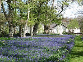 Plas Dinas Country House Caernarfon Bontnewydd