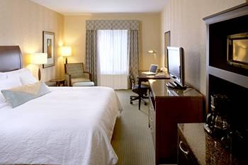 Hilton Garden Inn Suny Albany (New York) 1389 Washington Avenue