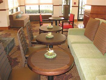 Hilton Garden Inn Allen (Texas) 705 Central Expressway South