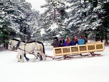 Mcguire's Resort Cadillac 7880 Mackinaw Trail