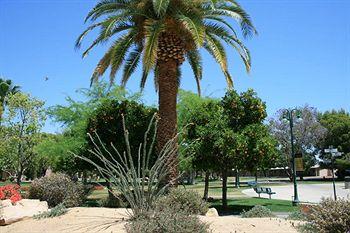 Thunderbird Executive Inn Glendale (Arizona) 15249 North 59th Avenue