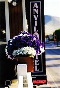 Anvil Motel Jackson (Wyoming) 215 N Cache St