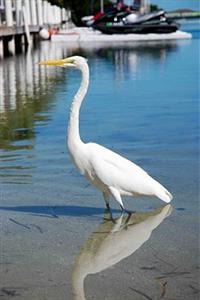 Ibis Bay Waterfront Resort Key West 3101 N. Roosevelt Blvd 