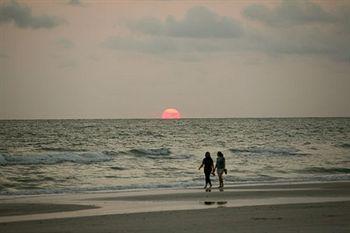 Dolphin Beach Resort Saint Pete Beach 4900 Gulf Blvd