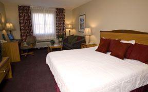 Lamplighter Inn & Suites Springfield 2820 N Glenstone