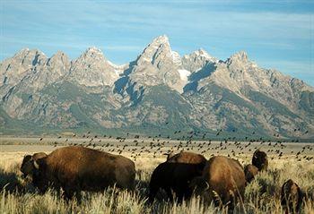 Snake River Lodge Teton Village 7710 Granite Loop Road