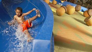 Great Wolf Lodge Traverse City 3575 North Us Highway 31 S