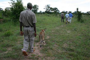 Thorn Tree River Lodge Livingstone Inside Mosi Oa Park