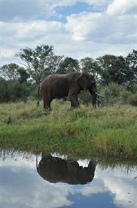 Thorn Tree River Lodge Livingstone Inside Mosi Oa Park