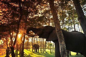 Thorn Tree River Lodge Livingstone Inside Mosi Oa Park