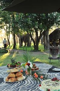 Thorn Tree River Lodge Livingstone Inside Mosi Oa Park