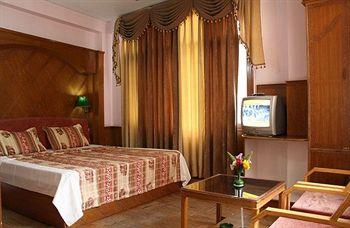 Hotel Snow Park Manali Near IBP Petrol Pump, Aleo