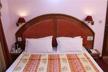 Hotel Snow Park Manali Near IBP Petrol Pump, Aleo