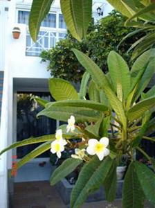 San Francisco Park Apartments Lanzarote Chalana, 7, Puerto del Carmen