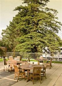 Macdonald Berystede Hotel Ascot Bagshot Road