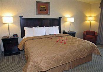 Comfort Inn & Suites Henderson (Nevada) 475 Marks Street