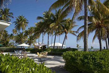 Emerald Palms Resort Hotel South Andros Driggs Hill