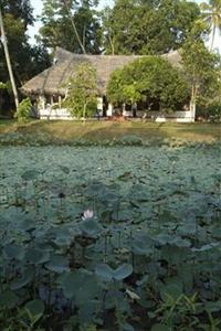 Marari Beach Resort Alleppey Marari Beach