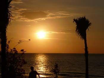 Puri Saron Baruna Beach Hotel Bali Desa Pemaron Lovina Beach Singaraja