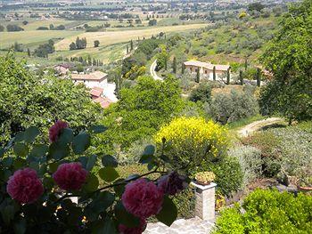 Agriturismo Il Poggio Degli Olivi Bettona Loc. Montebalacca