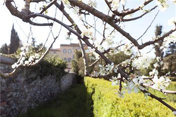 Badia Di Campoleone Green Resort Capolona Localita Castelluccio 38