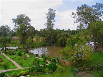 Zulu Nyala Country Manor Johannesburg 270 Third Road Chartwell