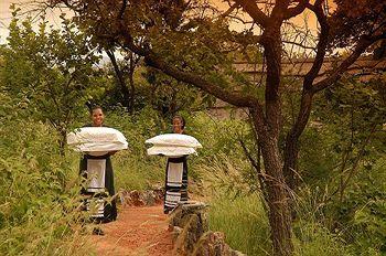 Tuningi Safari Lodge Madikwe Game Reserve