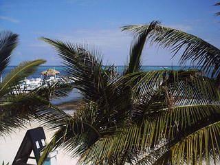 Coconuts Caribbean Hotel San Pedro San Pedro