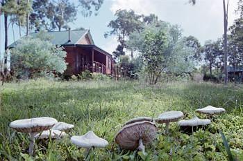 Lake Weyba Cottages Noosa 79 Clarendon Road