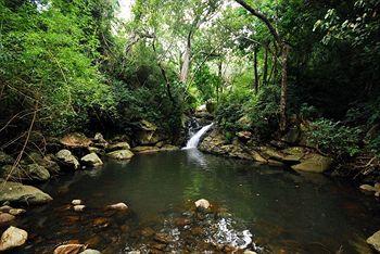 Glen View Resorts Mudumalai Bokkapuram Masinagudi