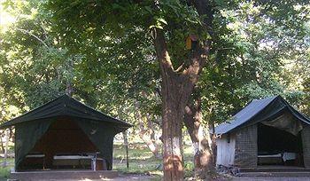 Corbett Jungle Lore Lodge Ramnagar Aam danda, 3rd Depot, Uttarakhand Forest Corporation,
200 mtrs. from Brijrani Gate