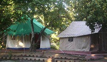 Corbett Jungle Lore Lodge Ramnagar Aam danda, 3rd Depot, Uttarakhand Forest Corporation,
200 mtrs. from Brijrani Gate