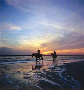 Amelia Island Plantation Resort 6800 First Coast Highway