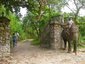 Maruni Sanctuary Lodge Chitwan Kumrose Community Forest