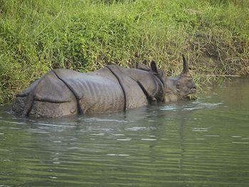 Maruni Sanctuary Lodge Chitwan Kumrose Community Forest