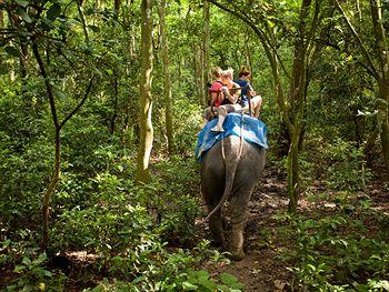 Maruni Sanctuary Lodge Chitwan Kumrose Community Forest